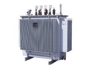 หม้อแปลง: S9 \ S11 \ S13 หม้อแปลงที่เต็มไปด้วยของเหลว